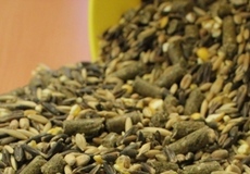 Paardenvoer, paardenmuesli, paardenbrok