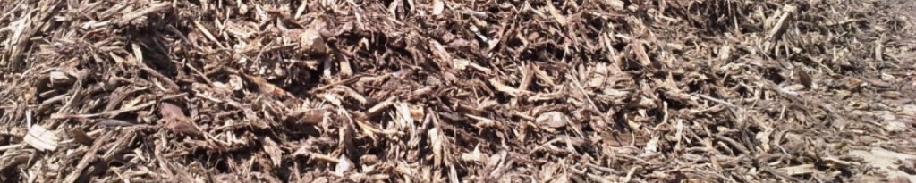 g-sonder-weerselo-wortelhout-biofilter-luchtwasser